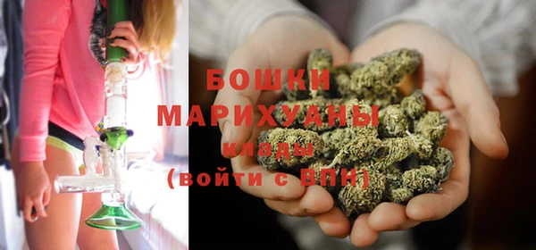 гидра Кулебаки