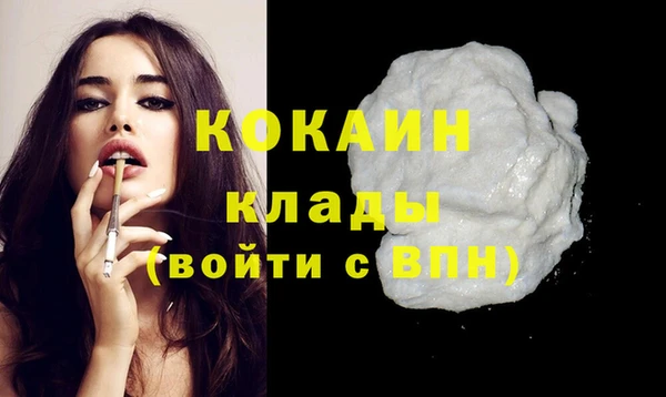 гидра Кулебаки