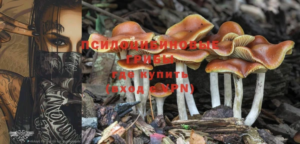 гидра Кулебаки