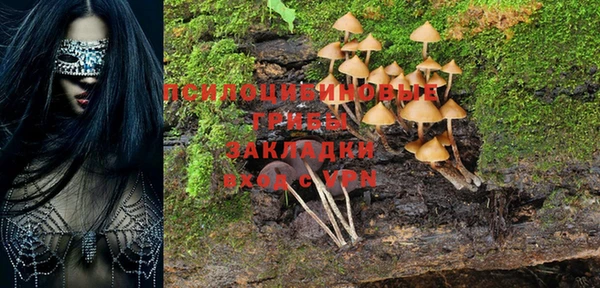 гидра Кулебаки