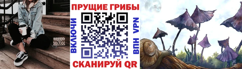 Галлюциногенные грибы мицелий  Купить  Волосово 