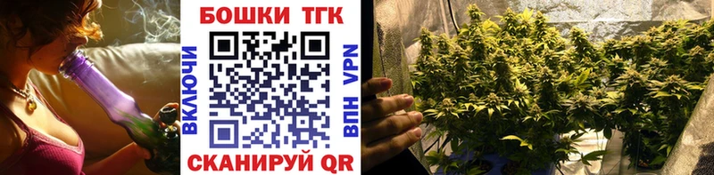 Купить  Волосово  Бошки Шишки сатива 